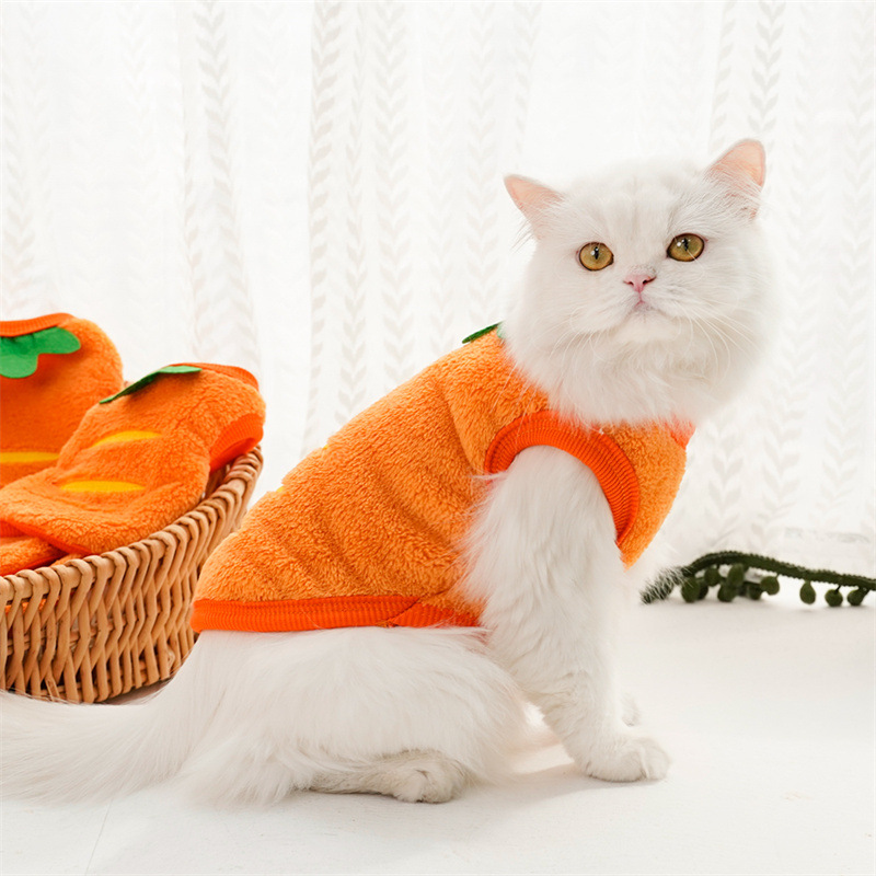 Vestiti per animali domestici  - Winter Clothing For Toddlers recensione e prezzo