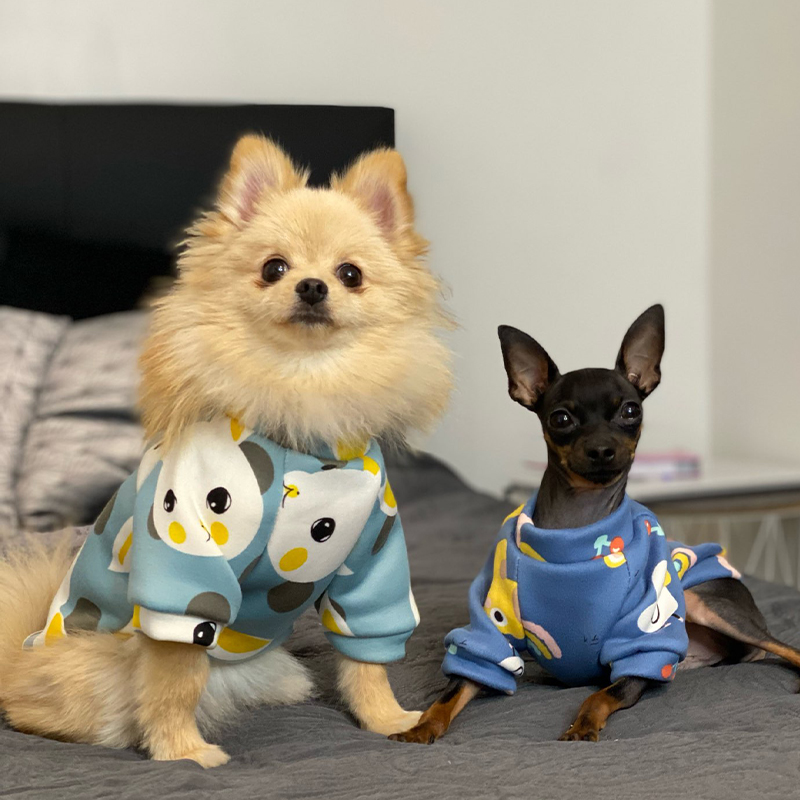 Xs Vestiti per cani per cani d - Winter Clothing For Toddlers recensione e prezzo