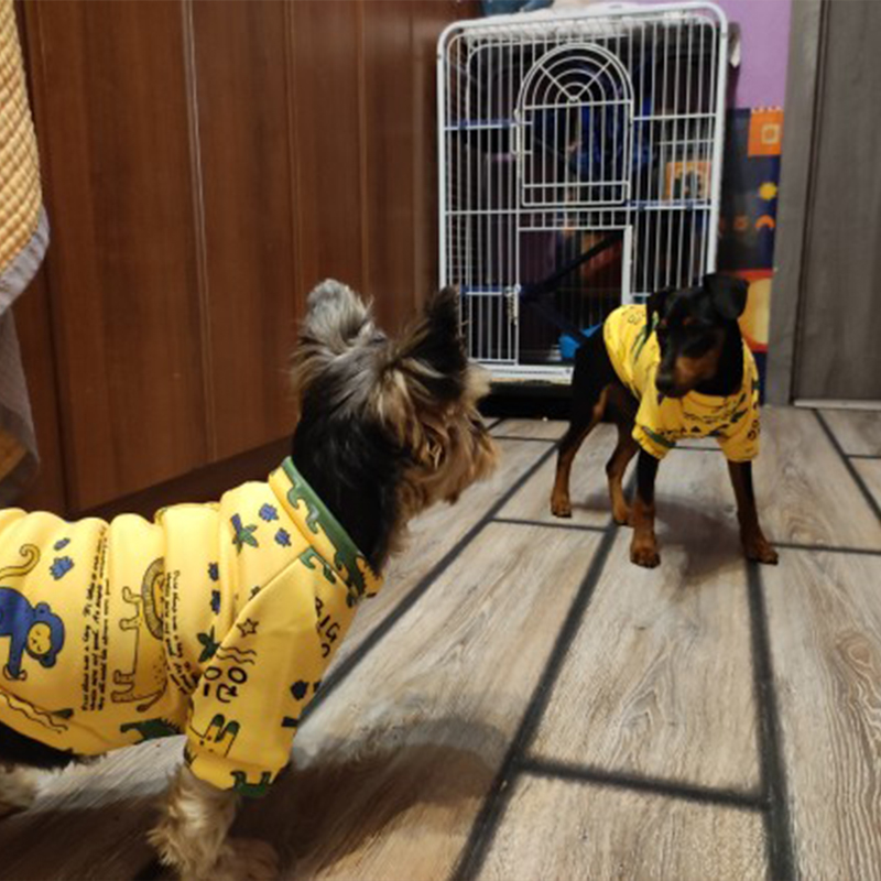 Xs Vestiti per cani per cani d - Winter Clothing For Toddlers recensione e prezzo