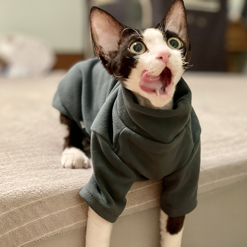 Sphynx Vestiti per gatti Baby  - Winter Clothing For Toddlers recensione e prezzo